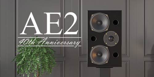 Acoustic Energy AE2