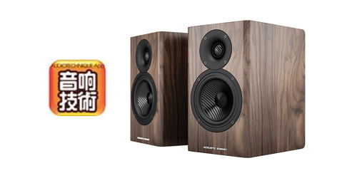 Acoustic Energy AE500