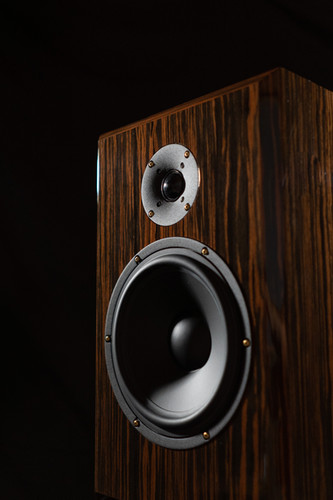 Alexandria Audio The Monitor