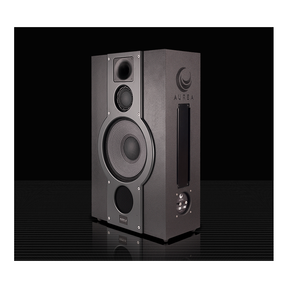 Aurea 22