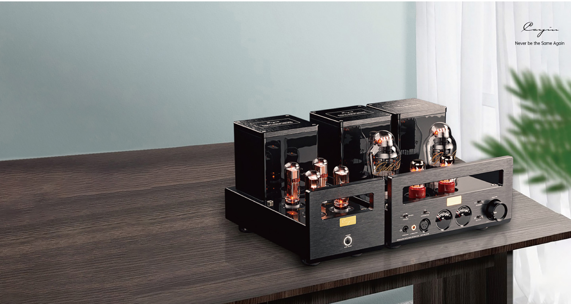 Cayin HA-300B