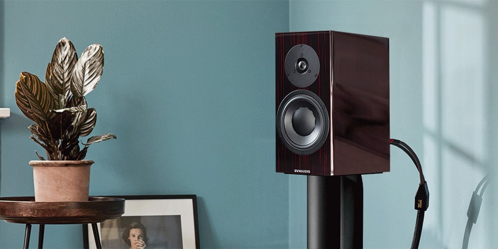 Dynaudio Special Forty