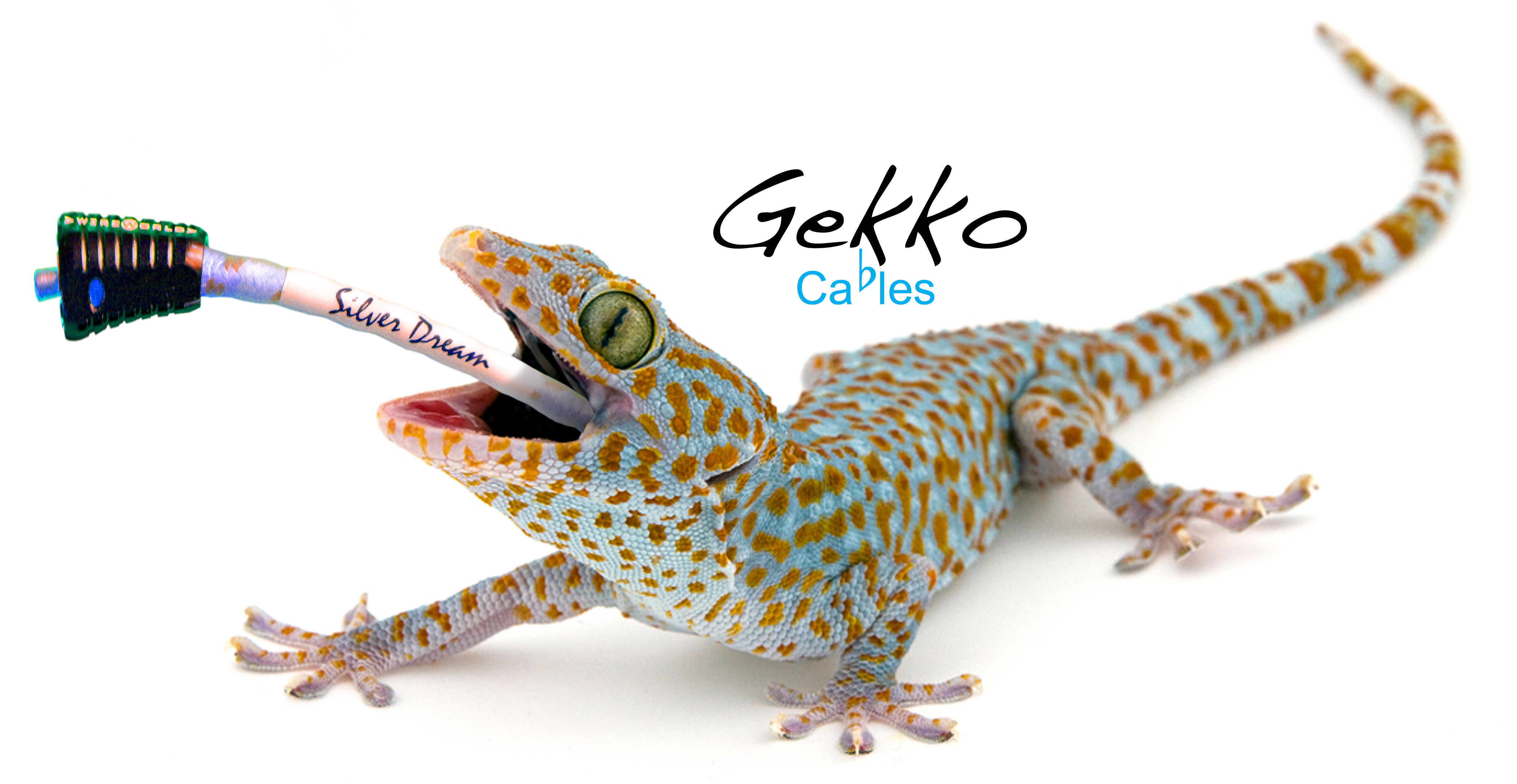 Gekko Cables Speaker Cable