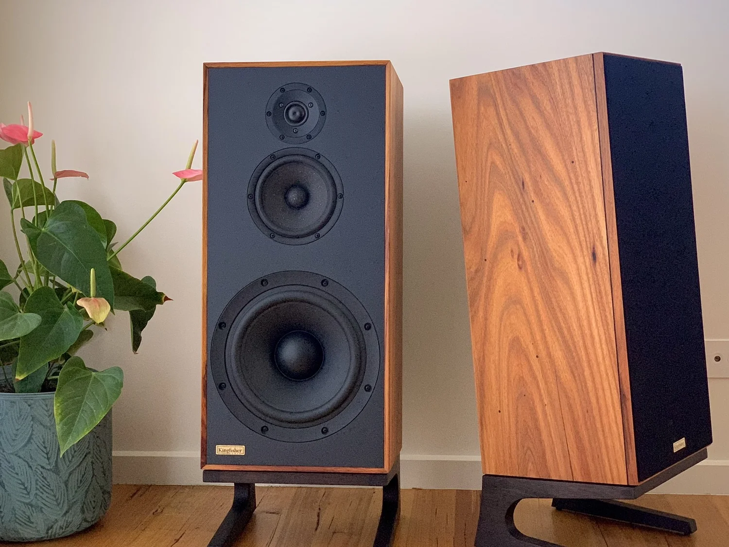 Kingfisher Audio Dacelo