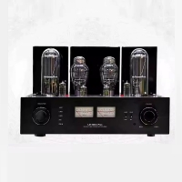 Line Magnetic Audio LM-212IA
