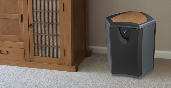 MartinLogan Descent