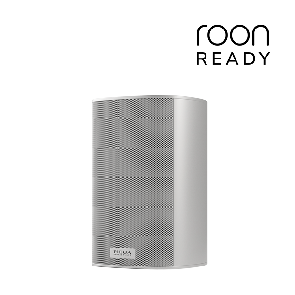 Ace 30 Wireless