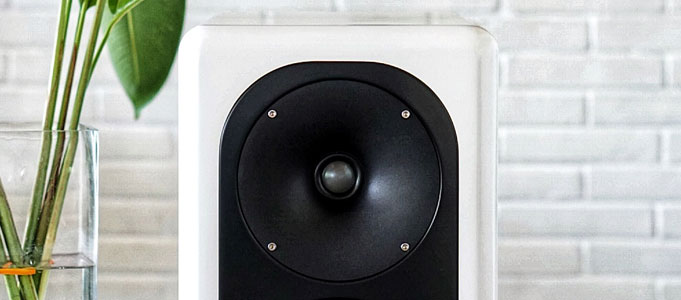 Redefy Audio The Monitor