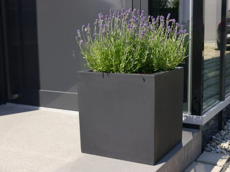 Revox Botanic 50 Outdoor