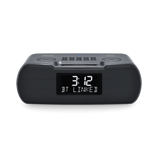 Sangean RCR-30