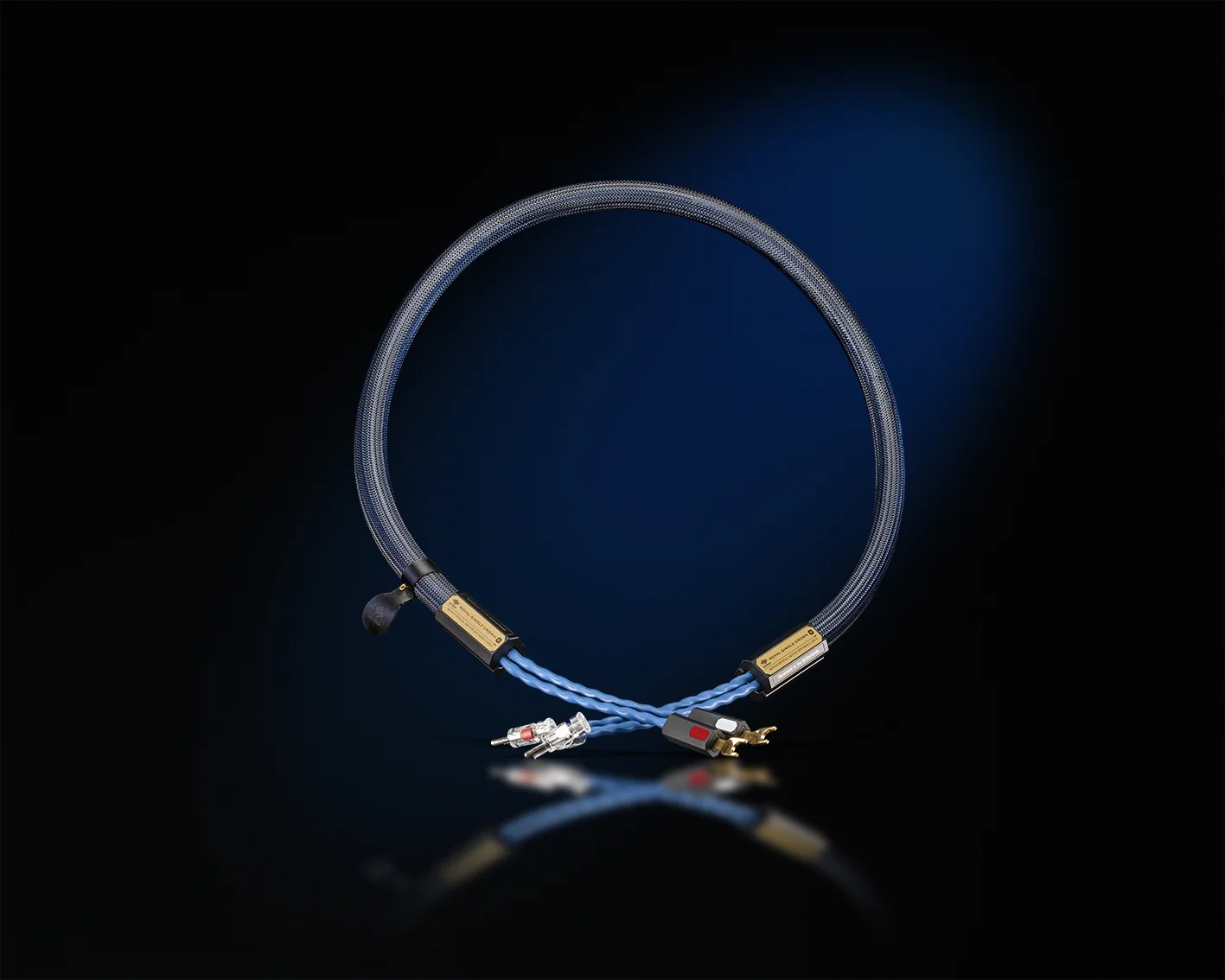 Royal Single Crown