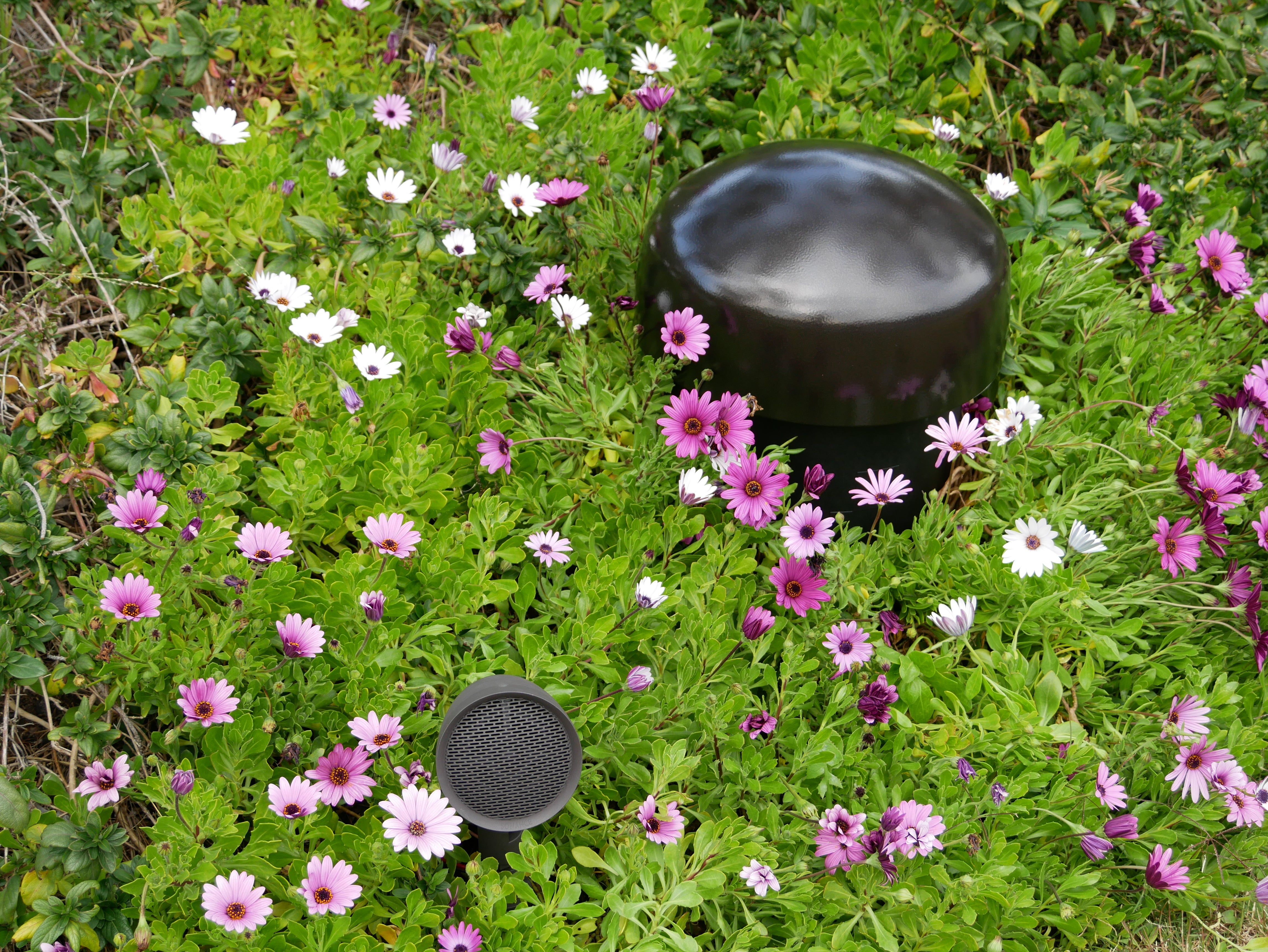 Garden Series