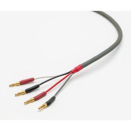 Straight Wire Chorus II
