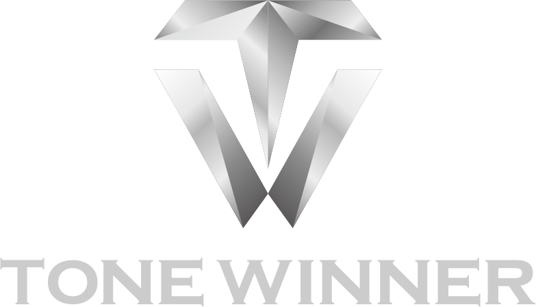 Tonewinner TD-2