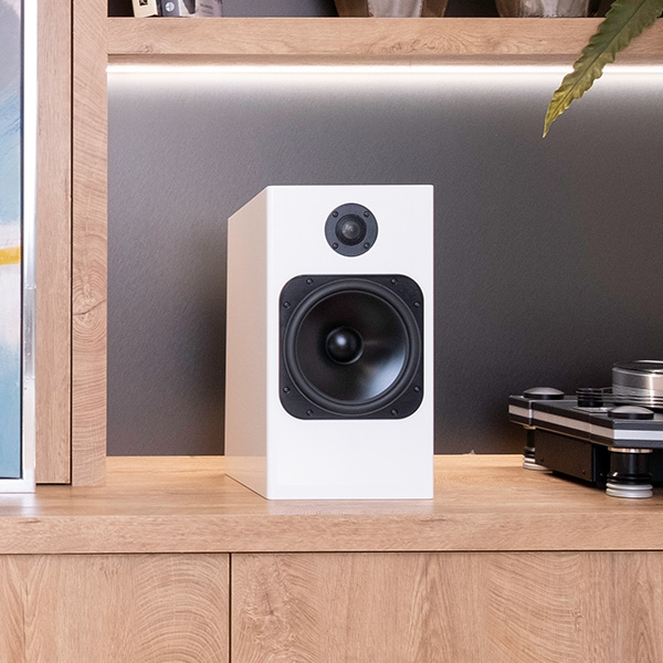 Totem Acoustic Element Fire
