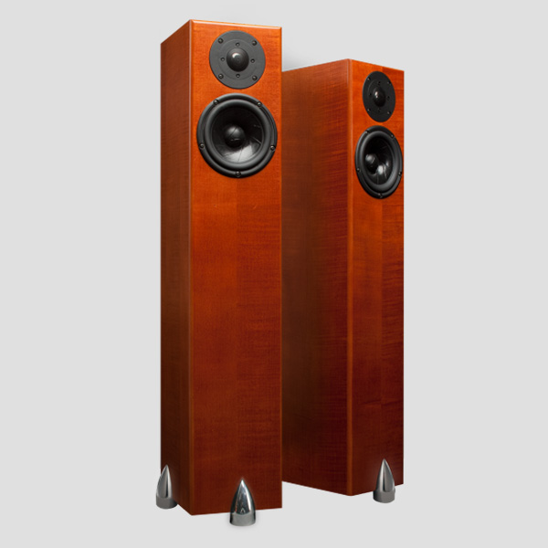 Totem Acoustic Hawk