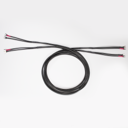 Essence Speaker Cable
