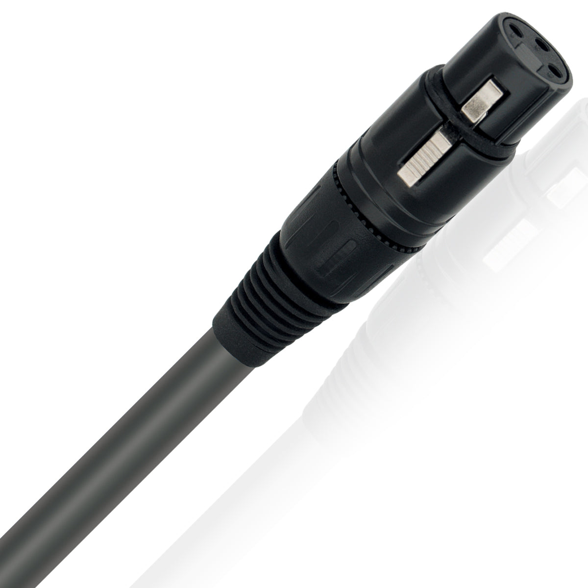 Wireworld Equinox 8