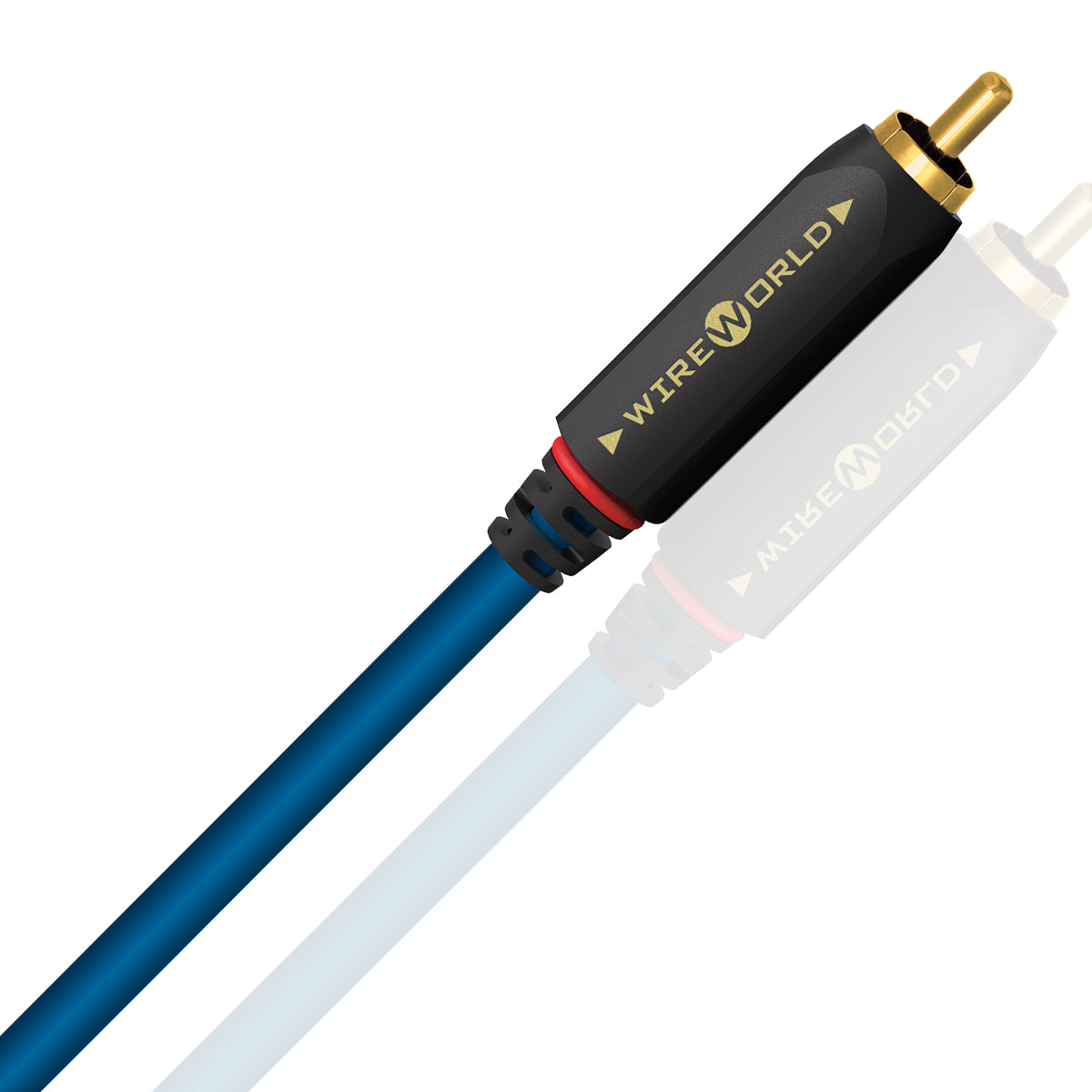 Wireworld Stream