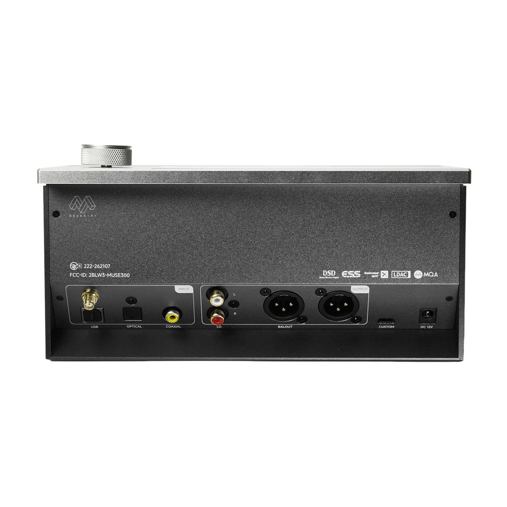 Rear panel inputs and line outputs. Photo: Muse HiFi.