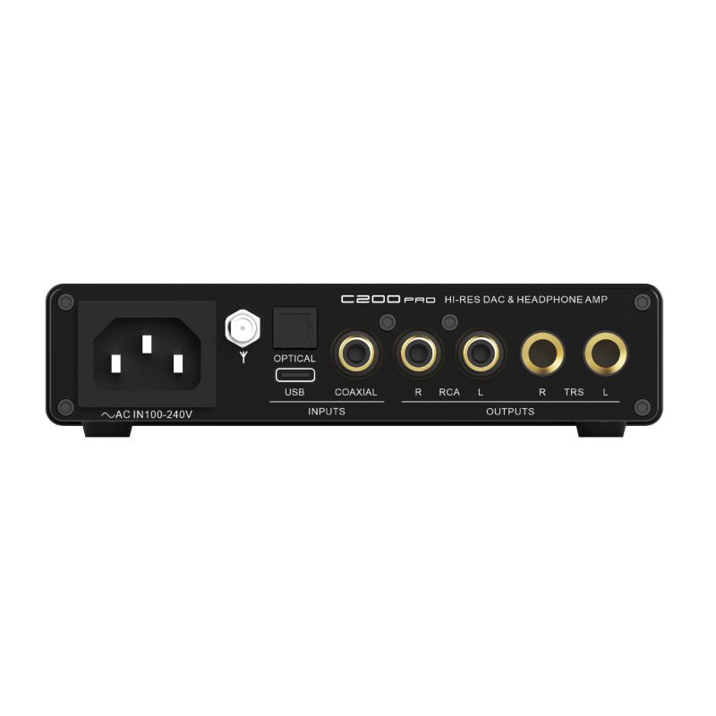 Rear panel inputs and outputs. Photo: SMSL, via Linsoul.